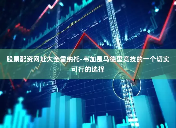 股票配资网址大全雷纳托-韦加是马德里竞技的一个切实可行的选择